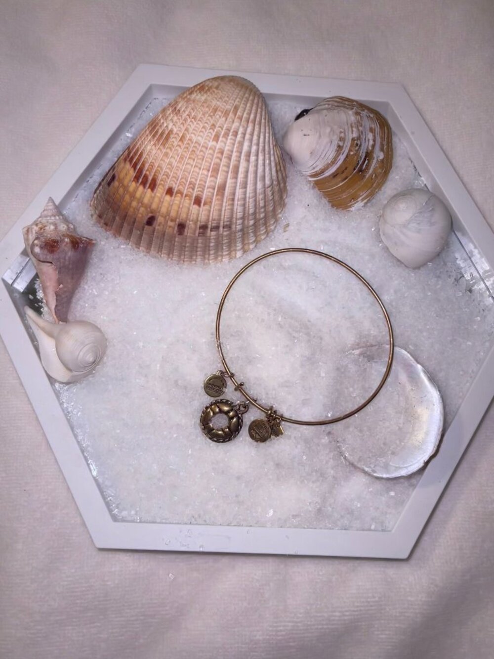 Alex and Ani - Life Preserver Charm Bangle